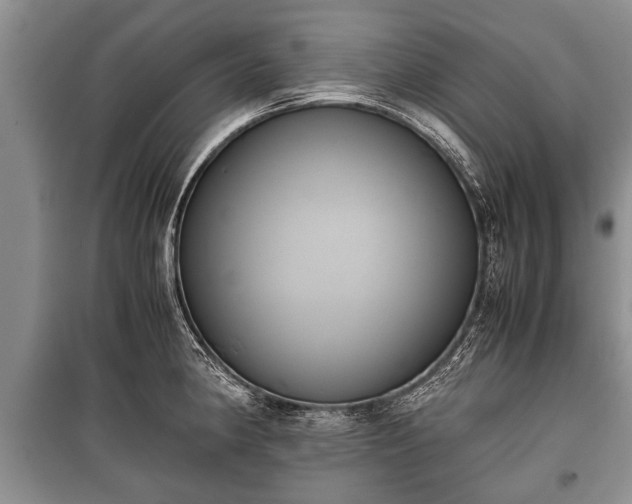 X0000100771190200806261536