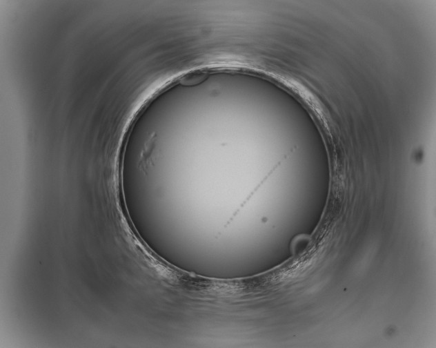 X0000100771191200806261536