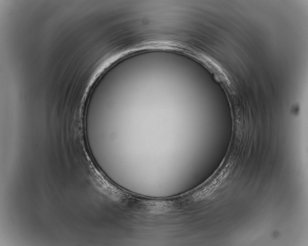 X0000100771192200806261536