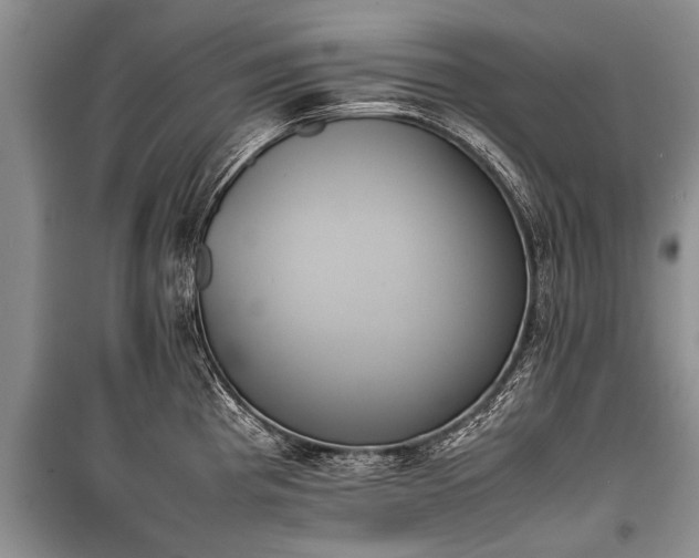 X0000100771193200806261536