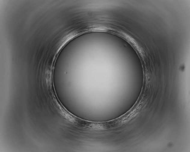 X0000100771194200806261536