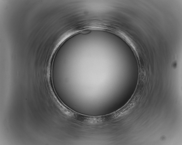 X0000100771195200806261536