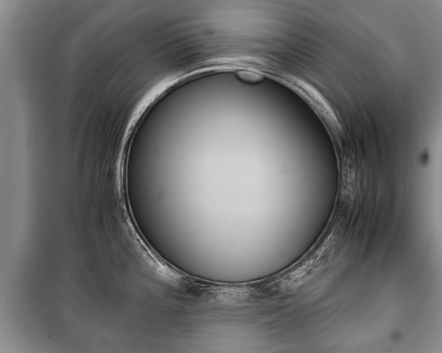 X0000100771196200806261536