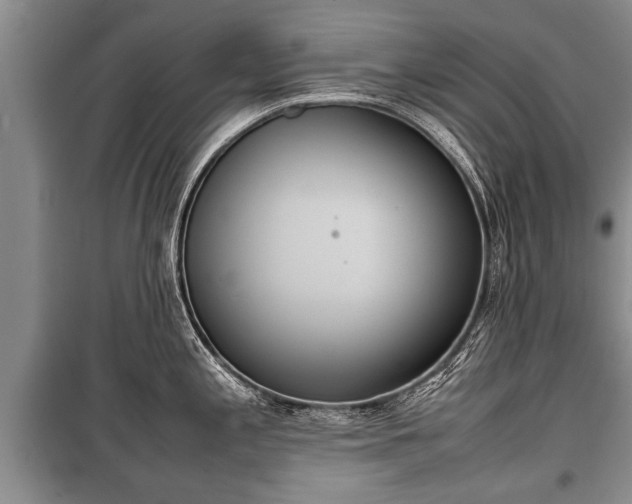 X0000100771197200806261536