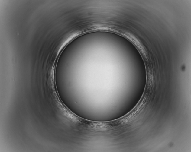 X0000100771198200806261536