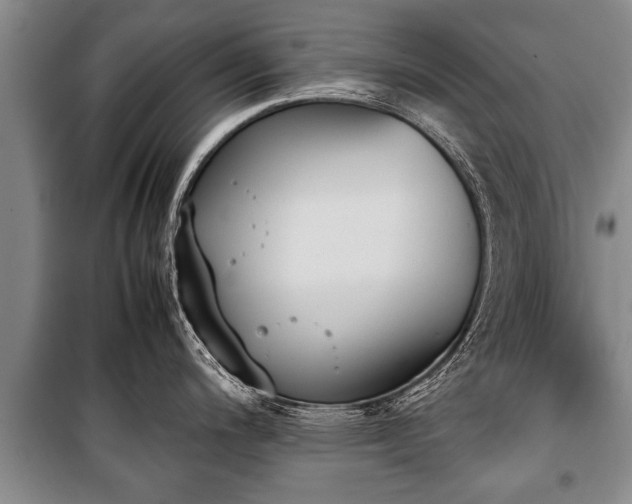 X0000100771200200806261536