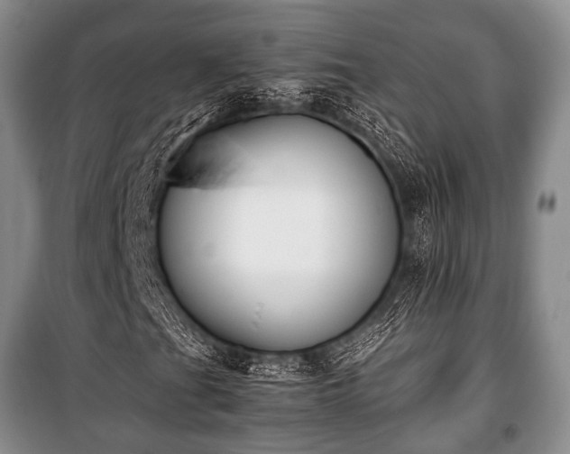 X0000100771201200806261535