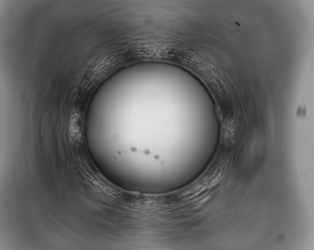 X0000100771202200806261535
