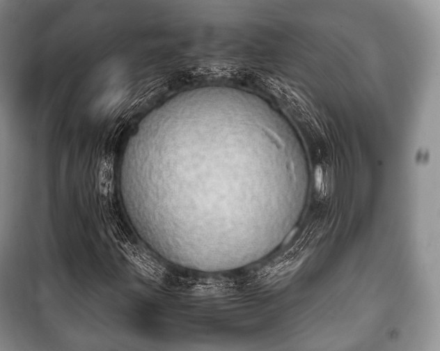 X0000100771203200806261535