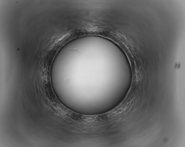 X0000100771205200806261535