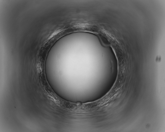 X0000100771206200806261535