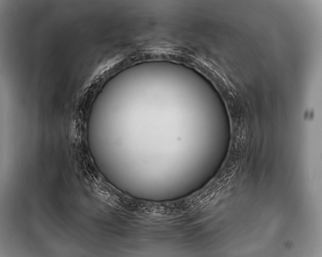 X0000100771207200806261535