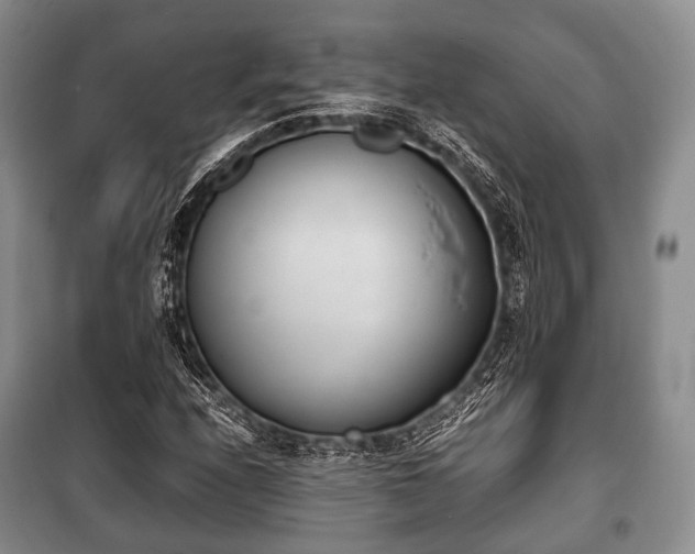 X0000100771208200806261535