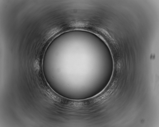 X0000100771209200806261535