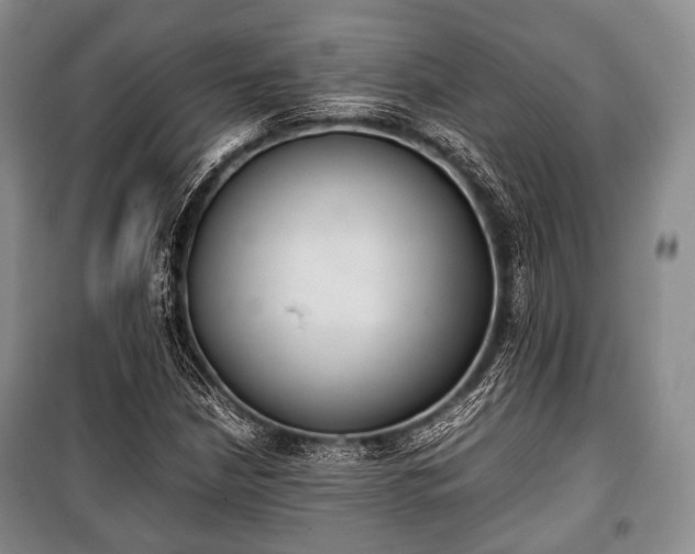 X0000100771210200806261535
