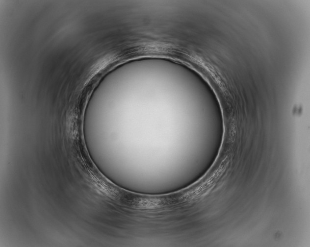 X0000100771211200806261535