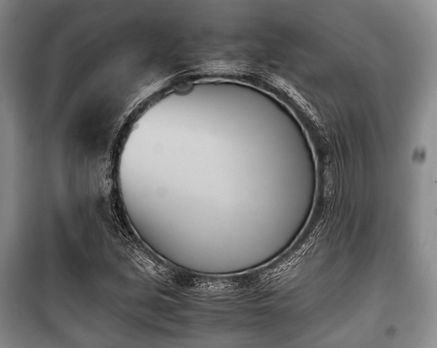 X0000100771213200806261535