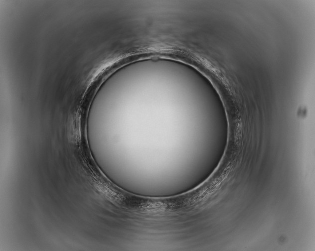 X0000100771214200806261535