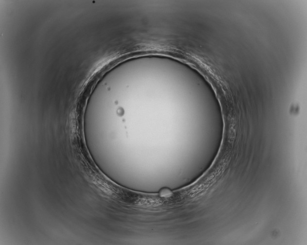 X0000100771215200806261535