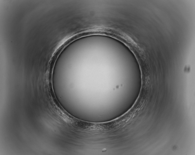 X0000100771216200806261535