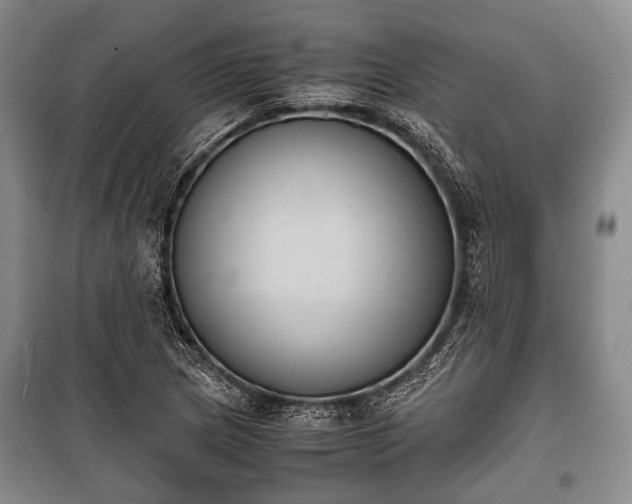 X0000100771217200806261535