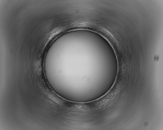 X0000100771218200806261535