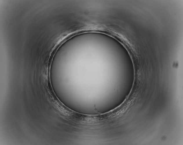 X0000100771220200806261535