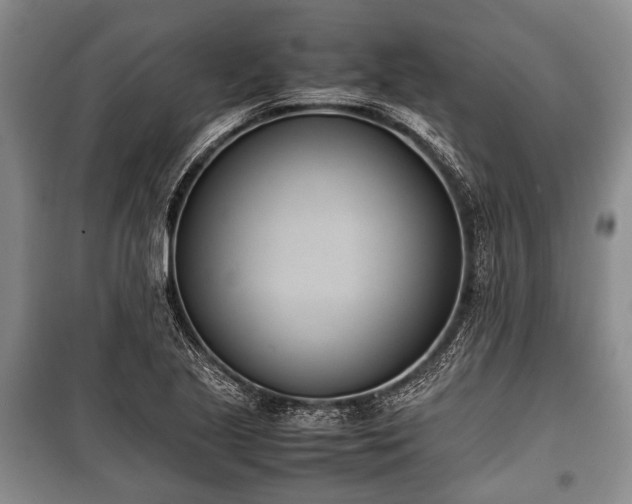 X0000100771221200806261535