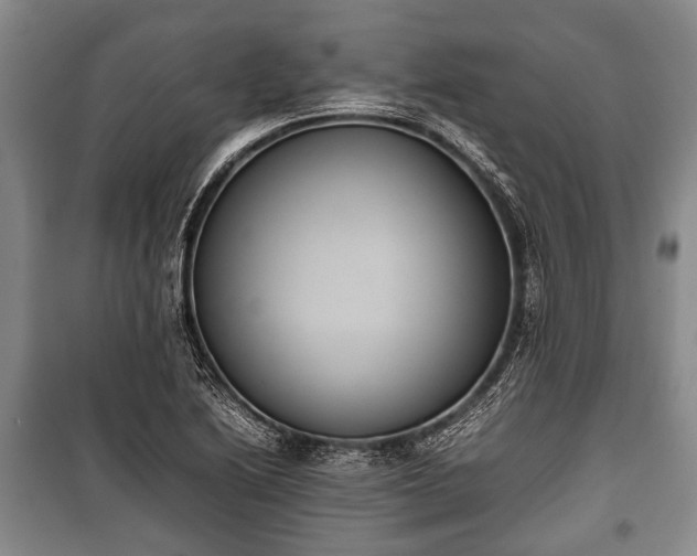 X0000100771222200806261535