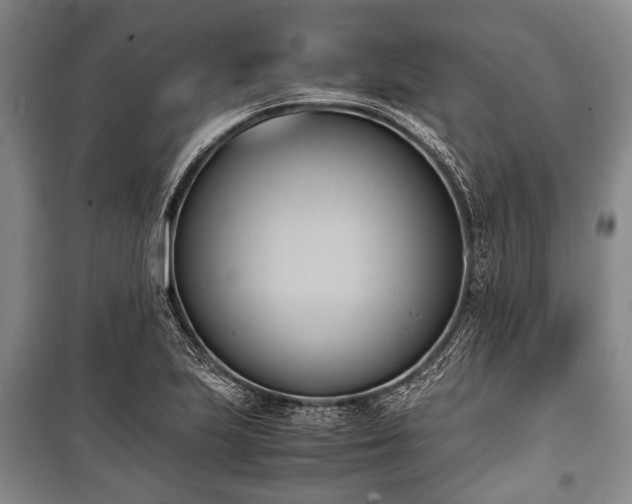 X0000100771223200806261535