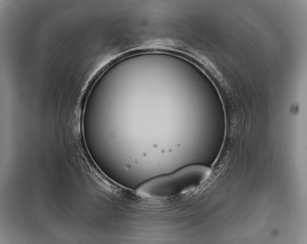 X0000100771224200806261535