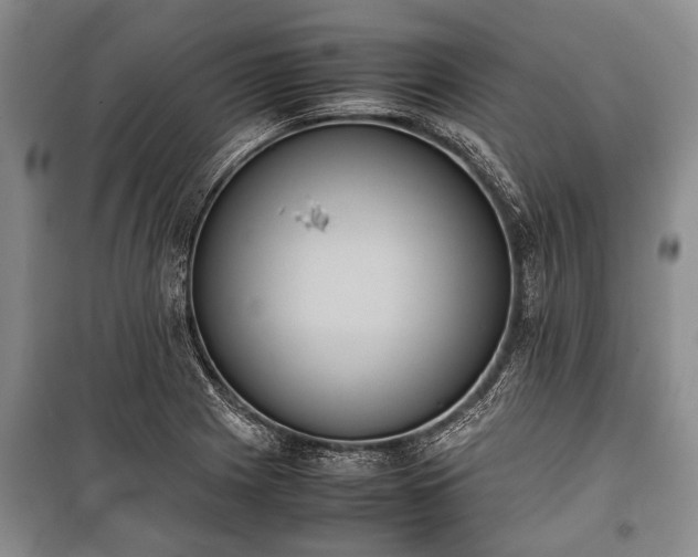 X0000100771225200806261535
