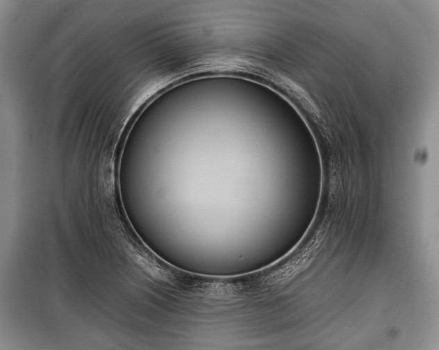 X0000100771226200806261535
