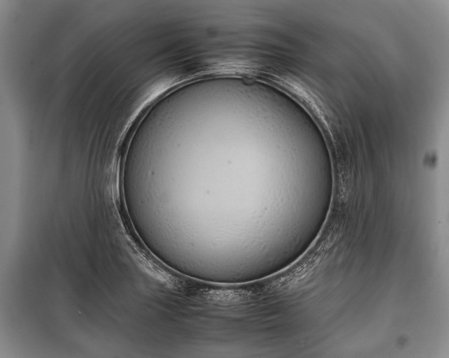 X0000100771227200806261536