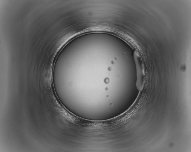 X0000100771228200806261536