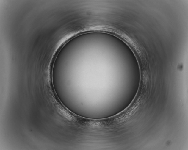 X0000100771230200806261536