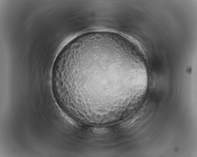 X0000100771231200806261536