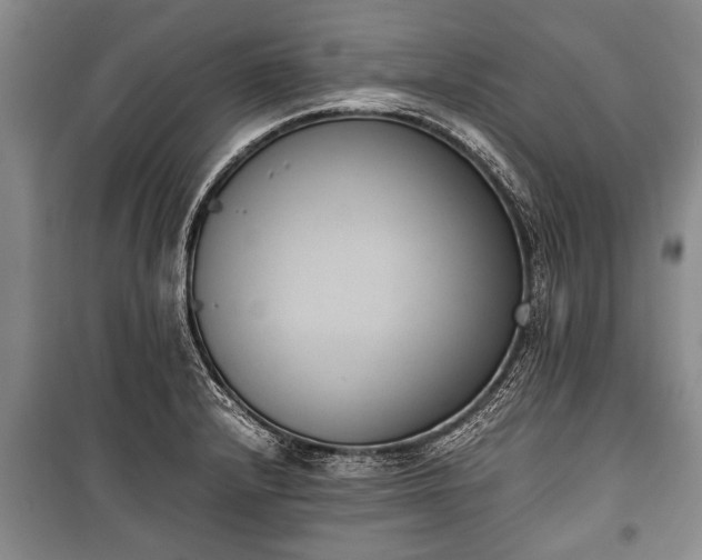 X0000100771232200806261536