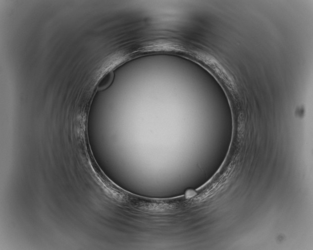 X0000100771233200806261536