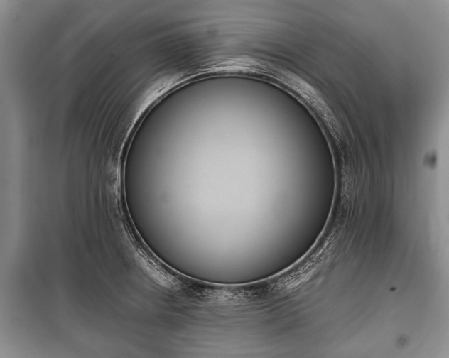 X0000100771234200806261536