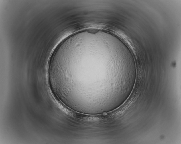 X0000100771235200806261536