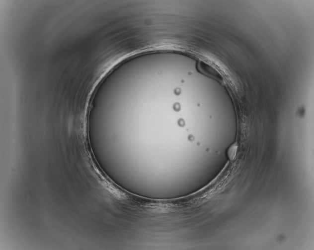 X0000100771236200806261536
