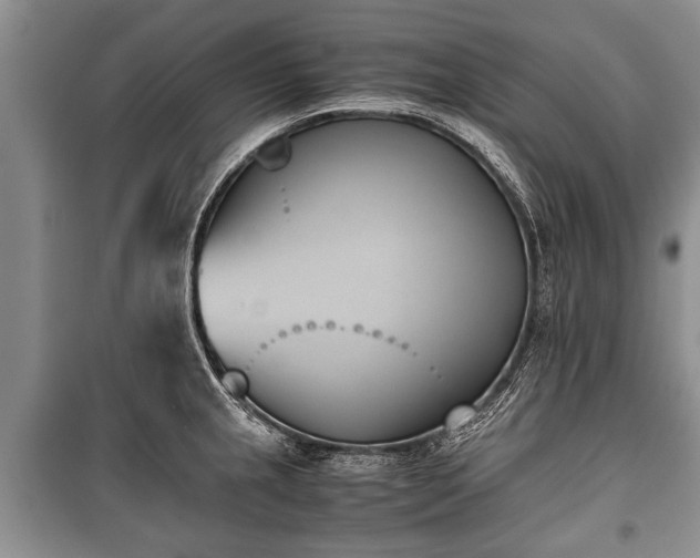 X0000100771237200806261536