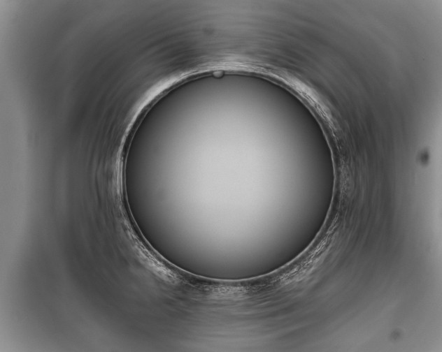 X0000100771238200806261536
