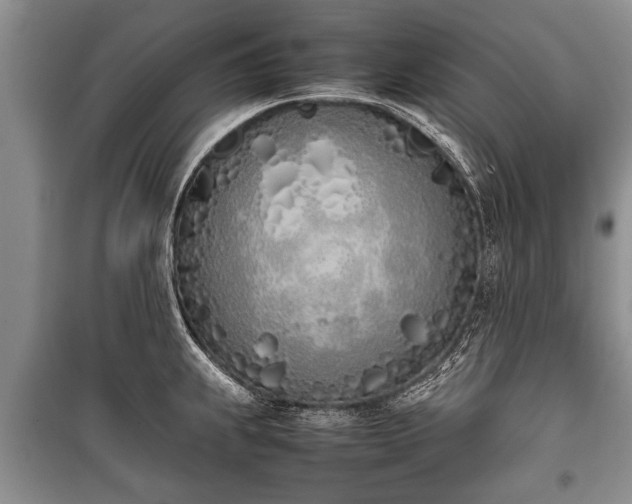 X0000100771239200806261536