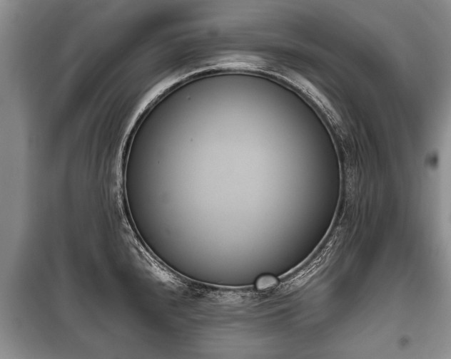 X0000100771240200806261536