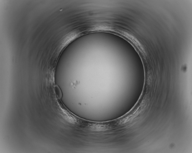 X0000100771241200806261536