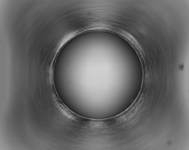 X0000100771242200806261536