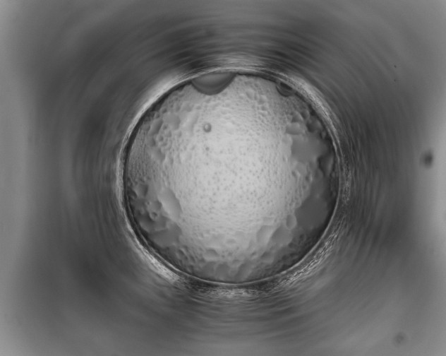 X0000100771243200806261536
