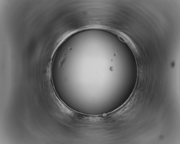 X0000100771244200806261536